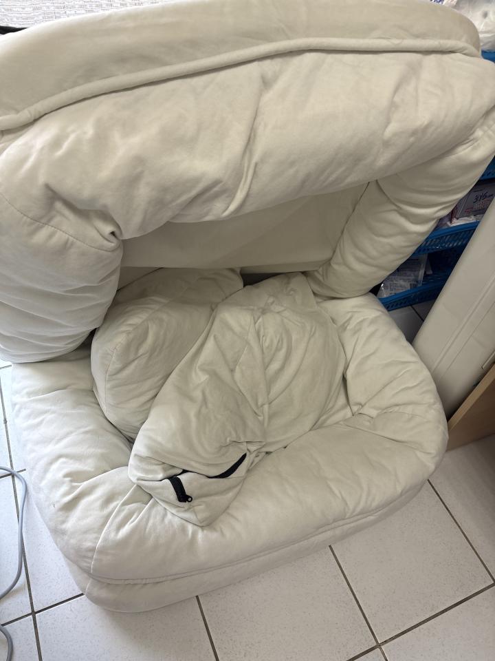 大型垃圾回收案件圖片