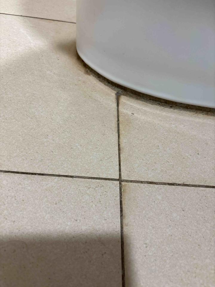 抓漏案件圖片