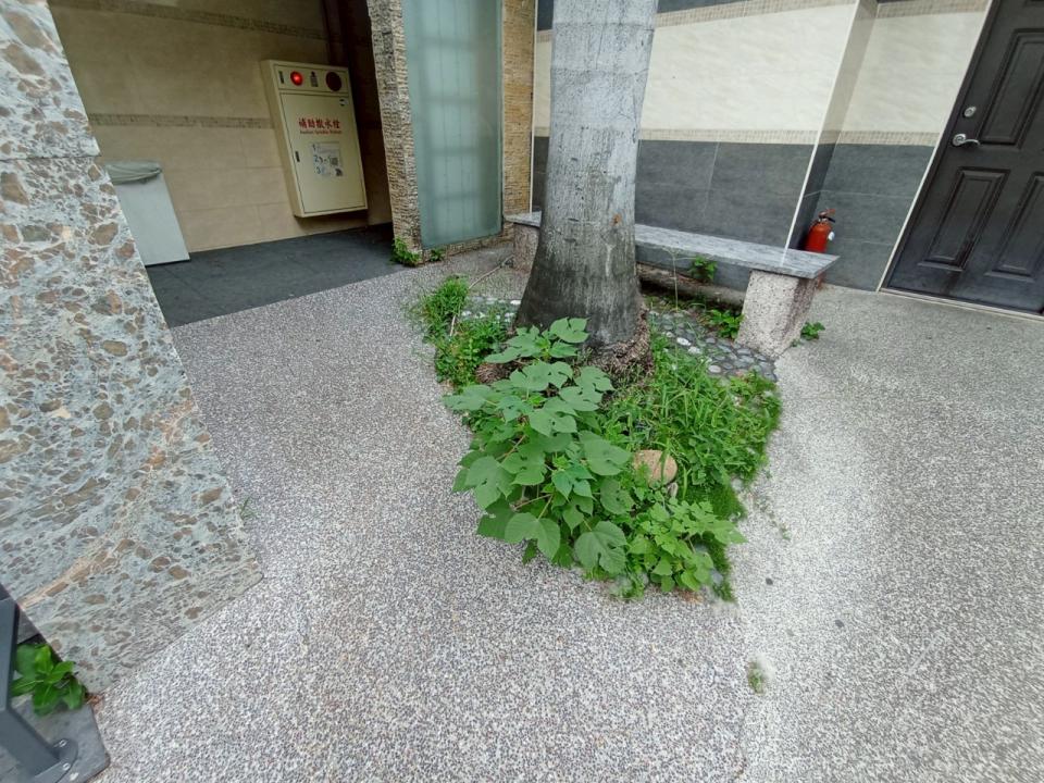 園藝維護案件圖片