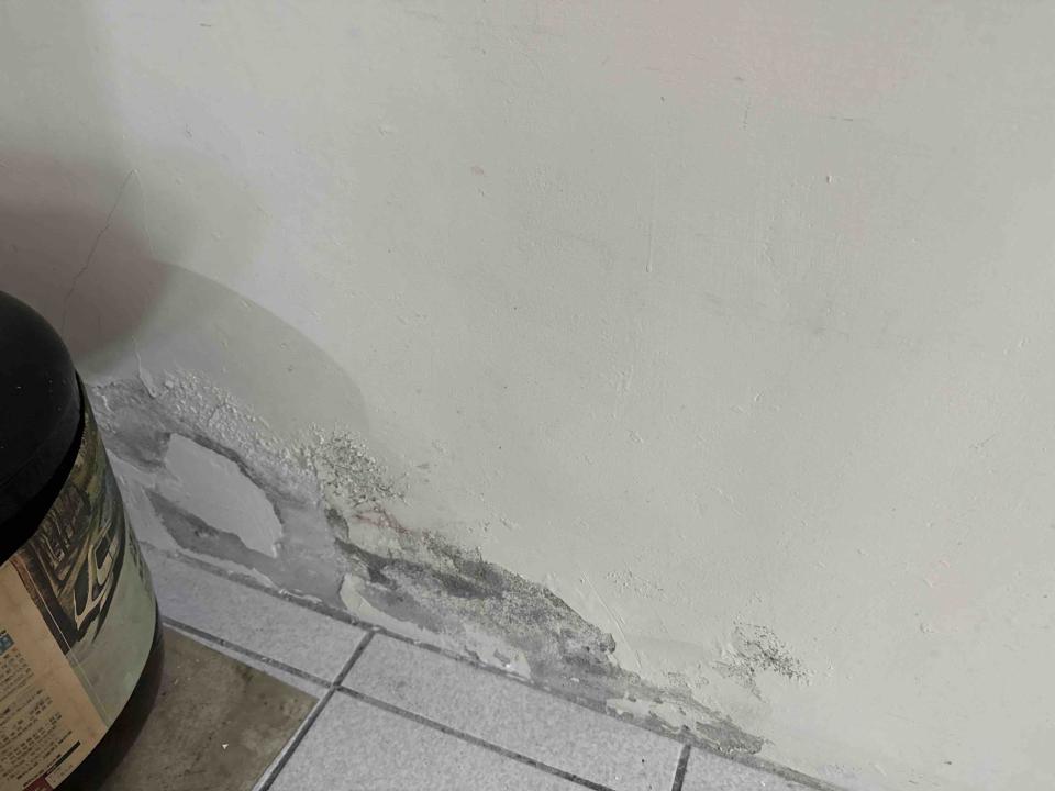 油漆工程案件圖片