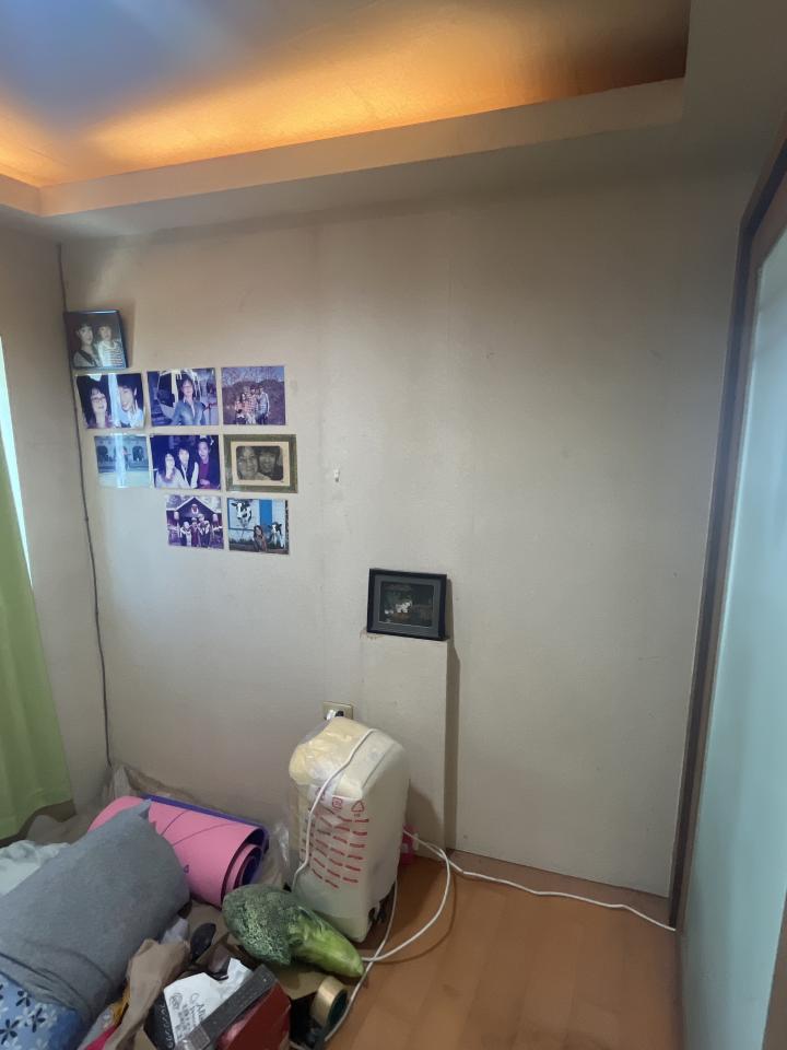 壁紙施工案件圖片