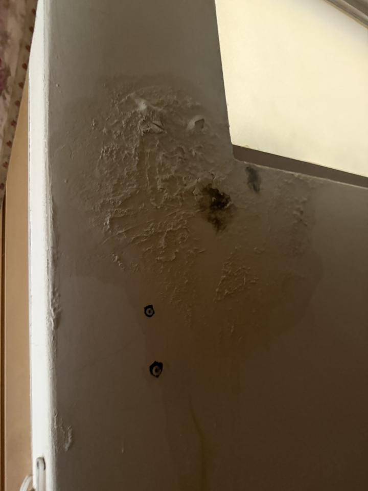 壁癌處理案件圖片