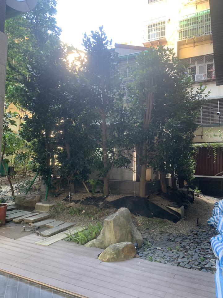 園藝維護案件圖片