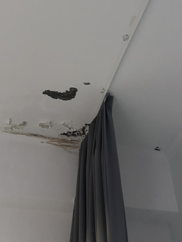 屋頂防水案件圖片