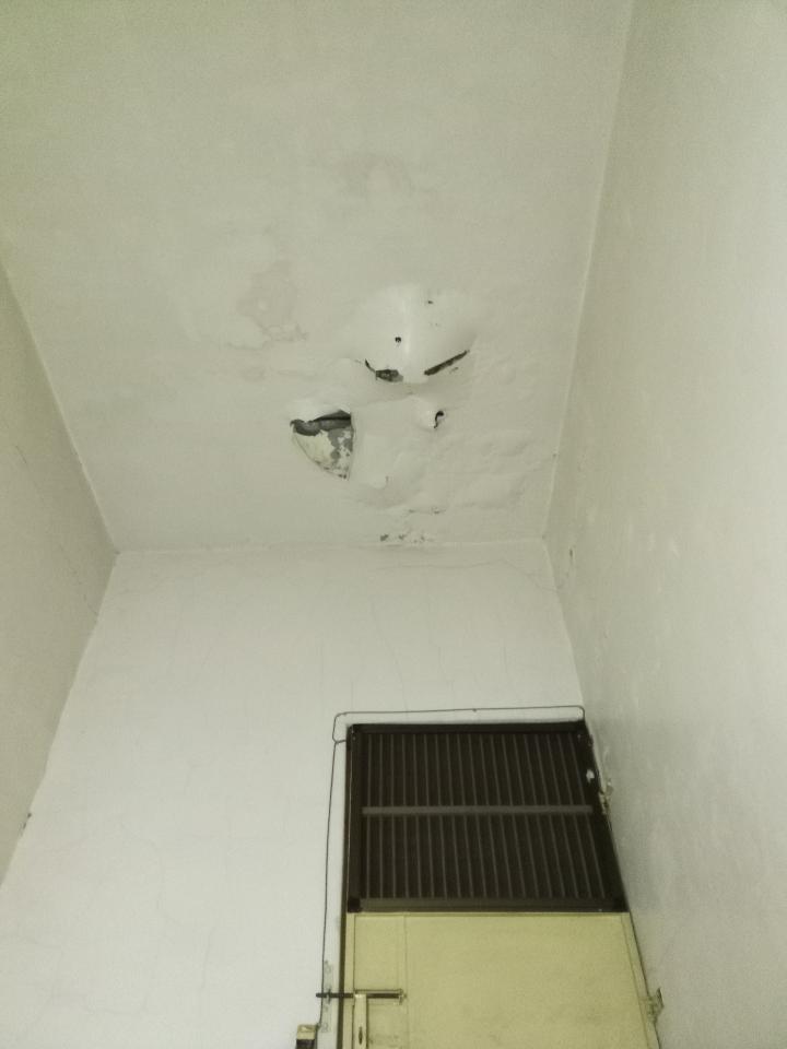 鋼筋外露處理案件圖片