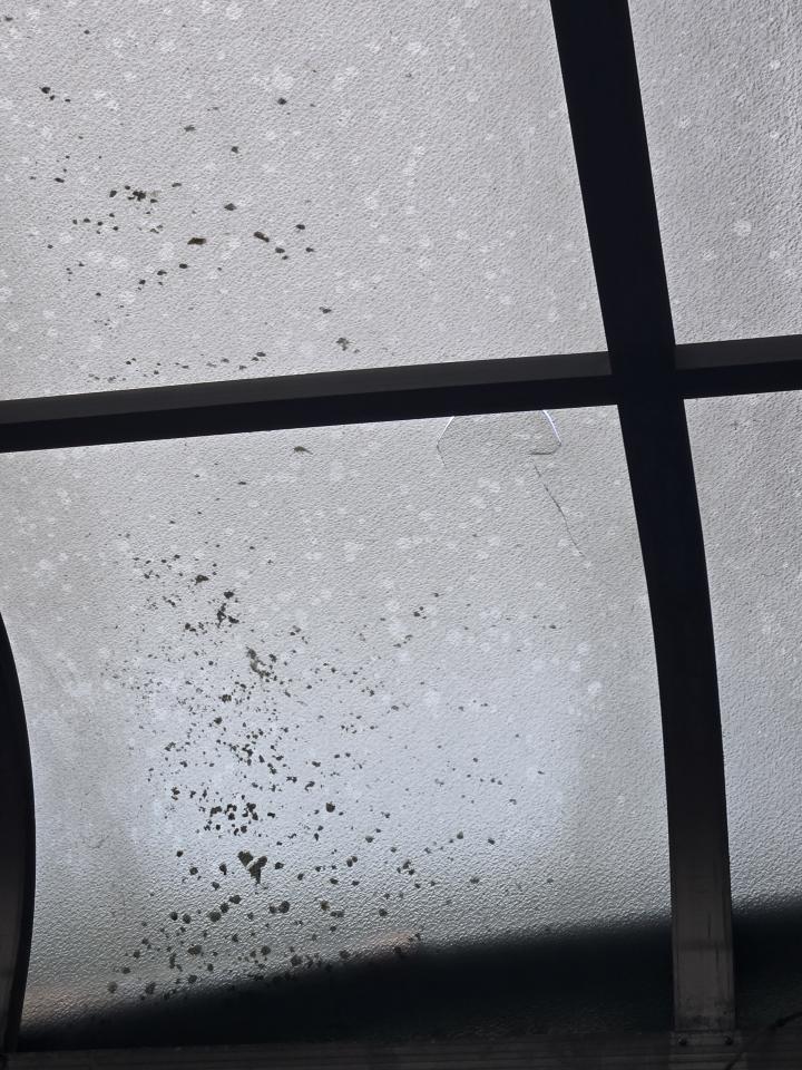 採光罩案件圖片