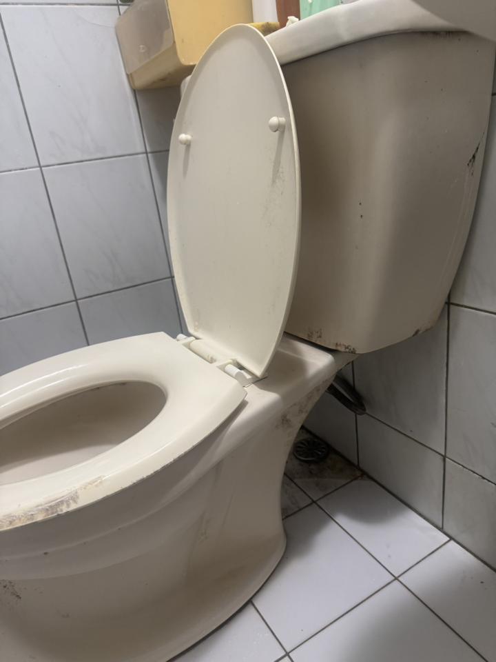 馬桶裝修案件圖片