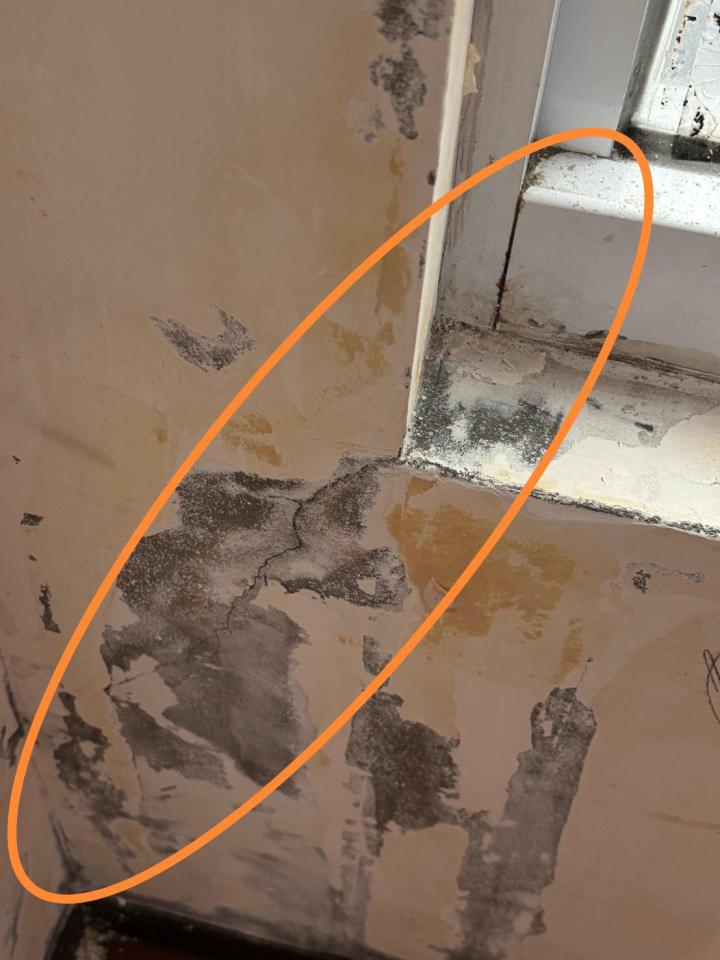 油漆工程案件圖片