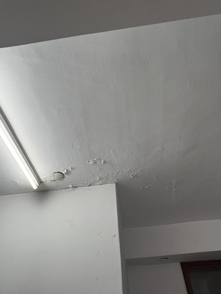抓漏案件圖片