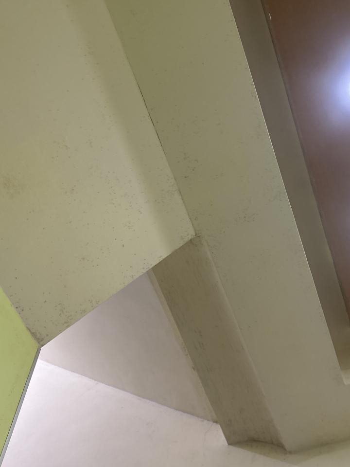 油漆工程案件圖片