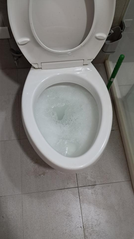 馬桶裝修案件圖片