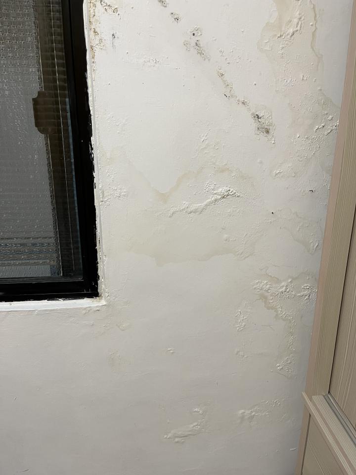 壁癌處理案件圖片