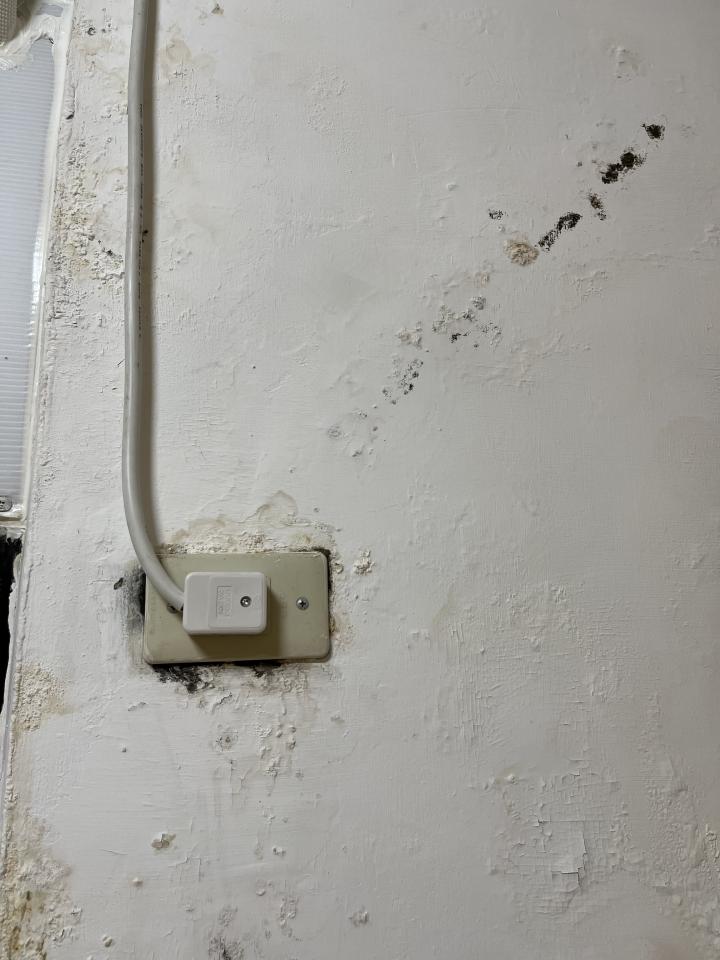 壁癌處理案件圖片