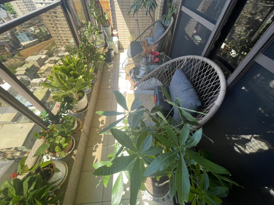 花園自動灑水系統案件圖片