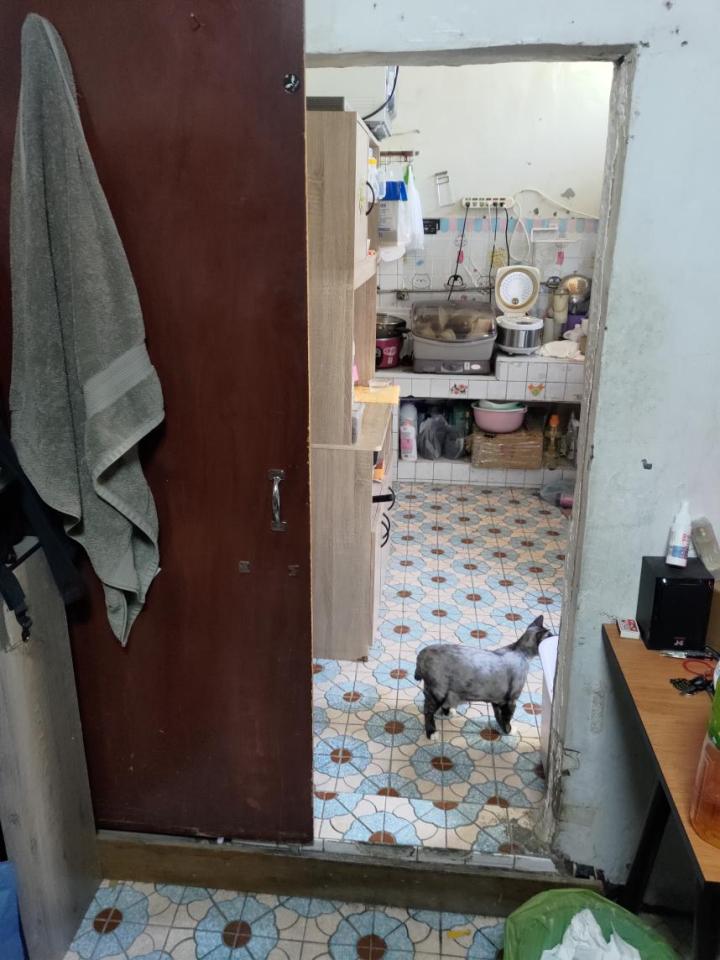 拉門案件圖片