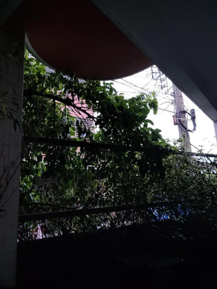 圍牆施工案件圖片