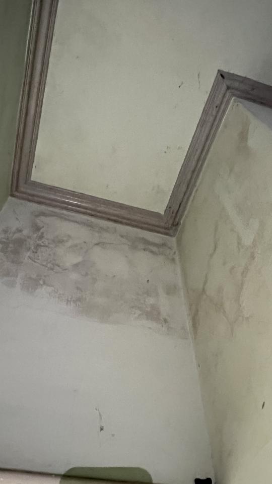 抓漏案件圖片