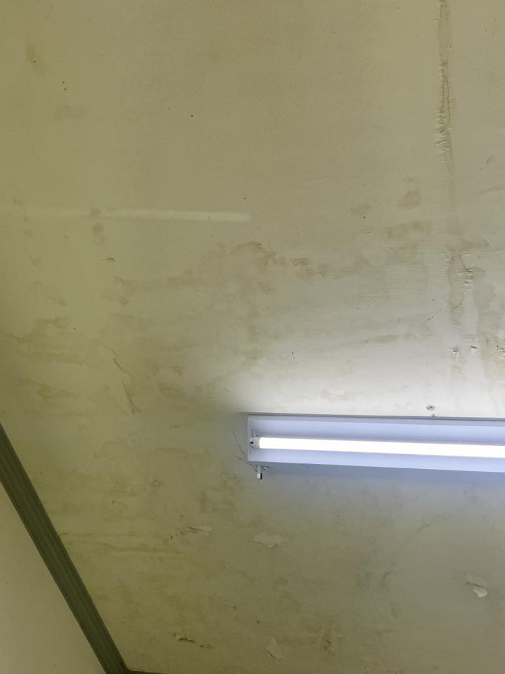 抓漏案件圖片