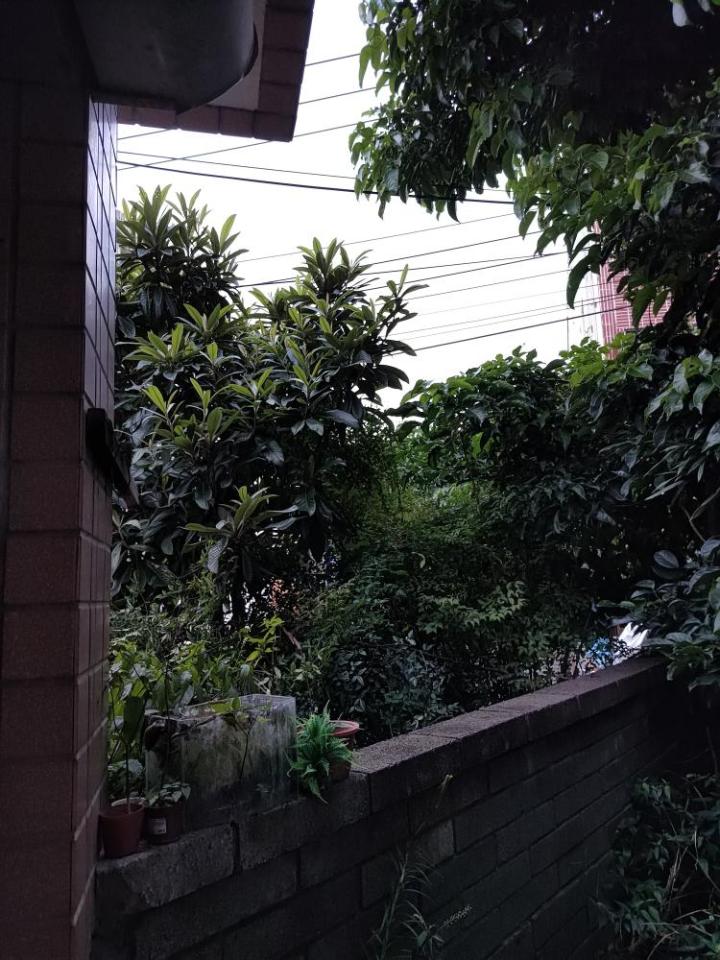 圍牆施工案件圖片