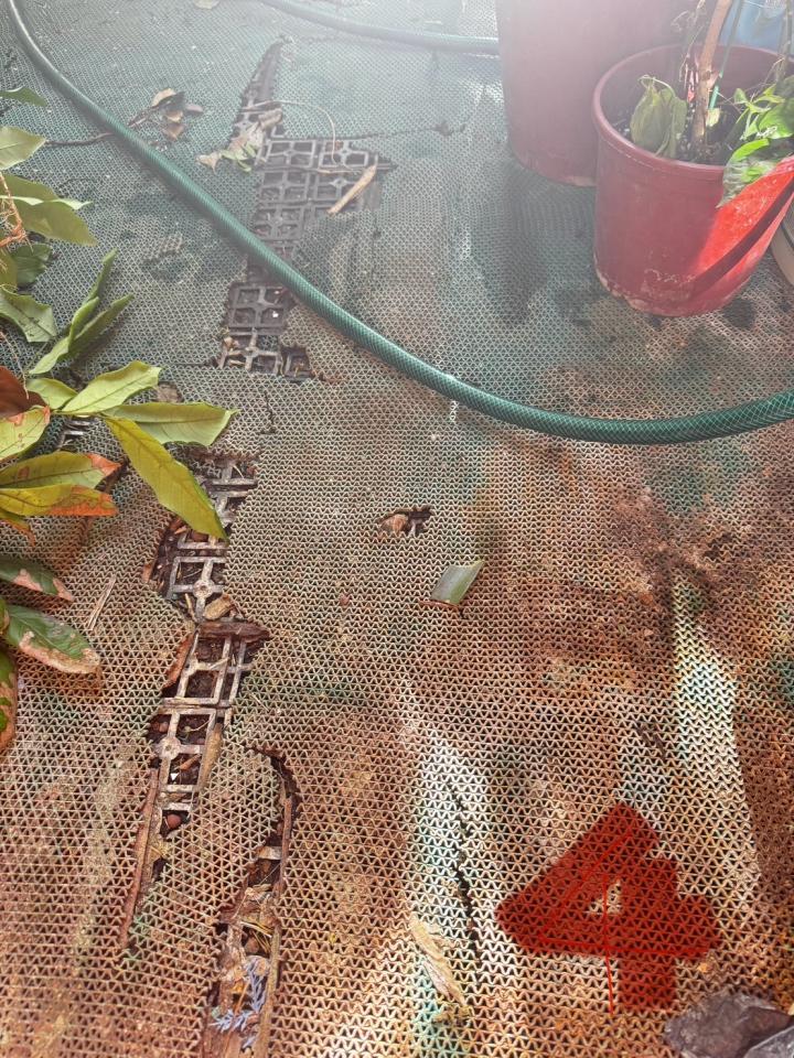 大型垃圾回收案件圖片