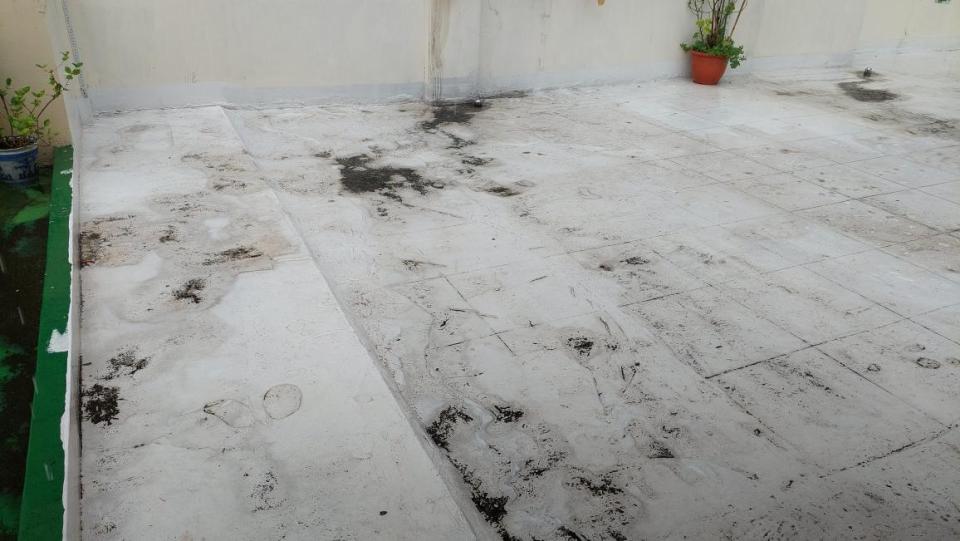 地板拋光打蠟案件圖片