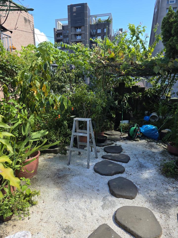 園藝維護案件圖片
