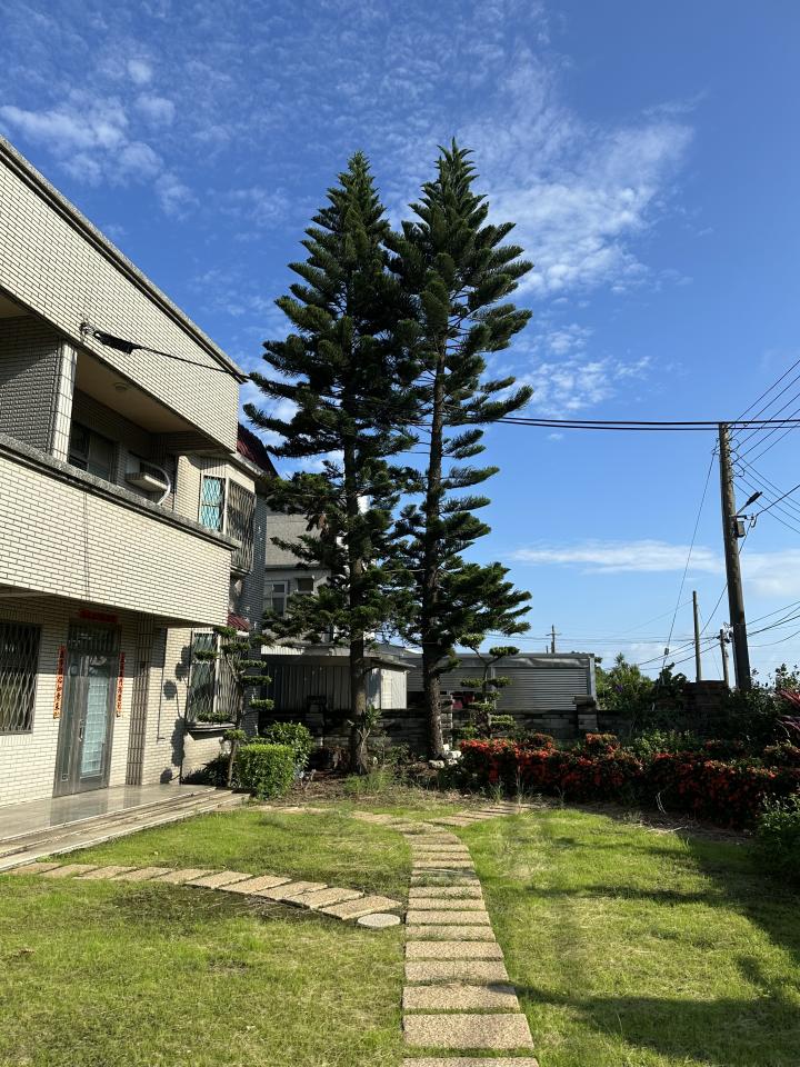 園藝維護案件圖片