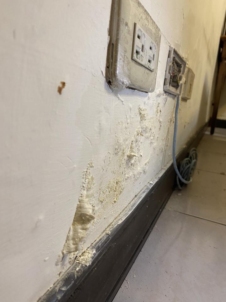 屋頂防水案件圖片
