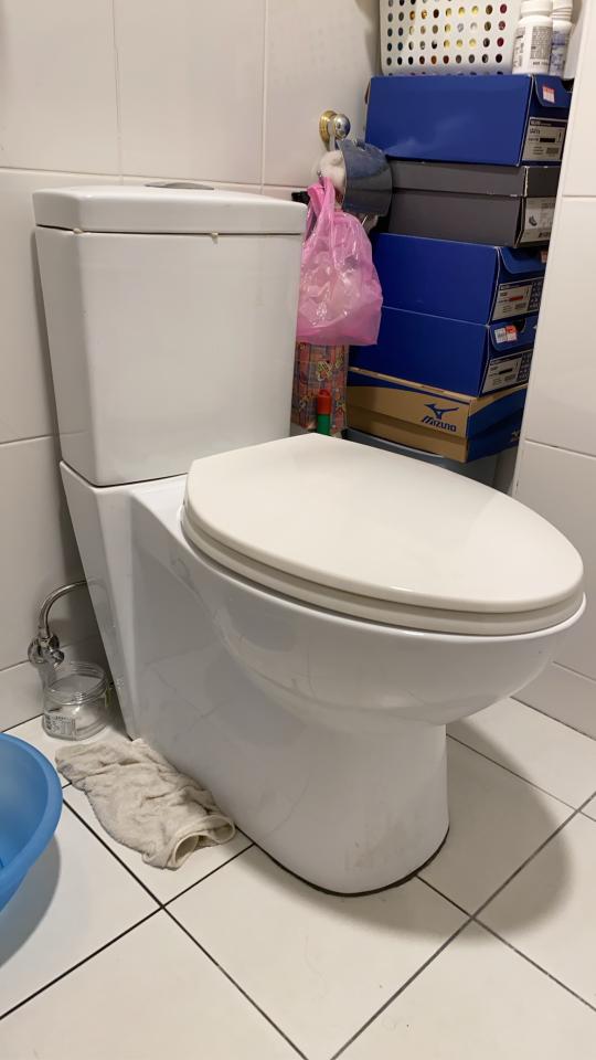 馬桶裝修案件圖片