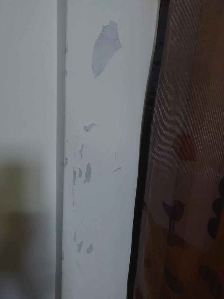 油漆工程案件圖片 油漆工程案件圖片