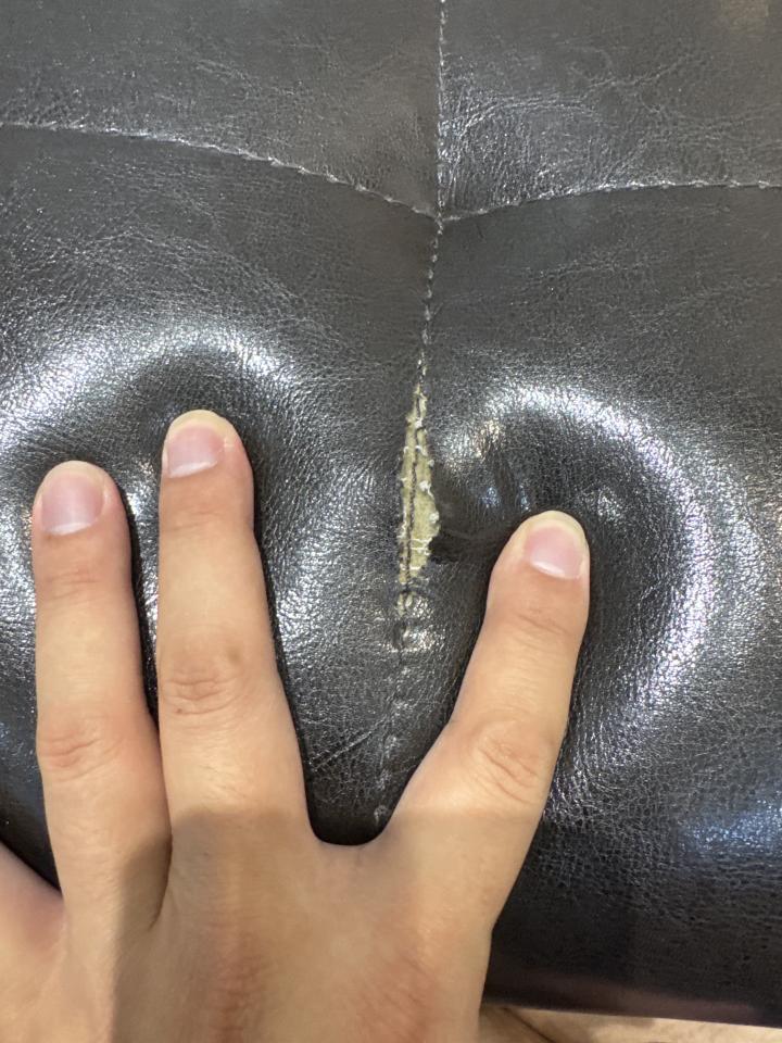 沙發修理案件圖片