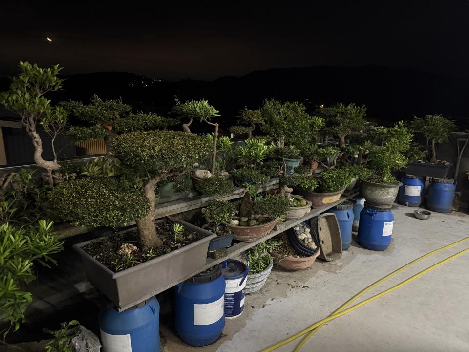花園自動灑水系統案件圖片