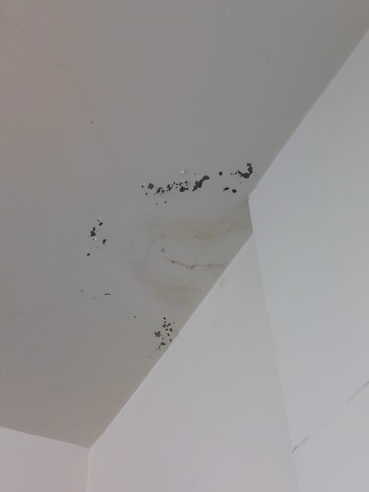 油漆工程案件圖片 油漆工程案件圖片