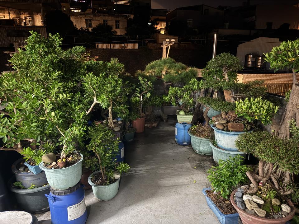 花園自動灑水系統案件圖片