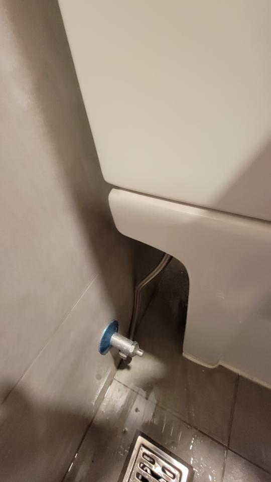 馬桶裝修案件圖片