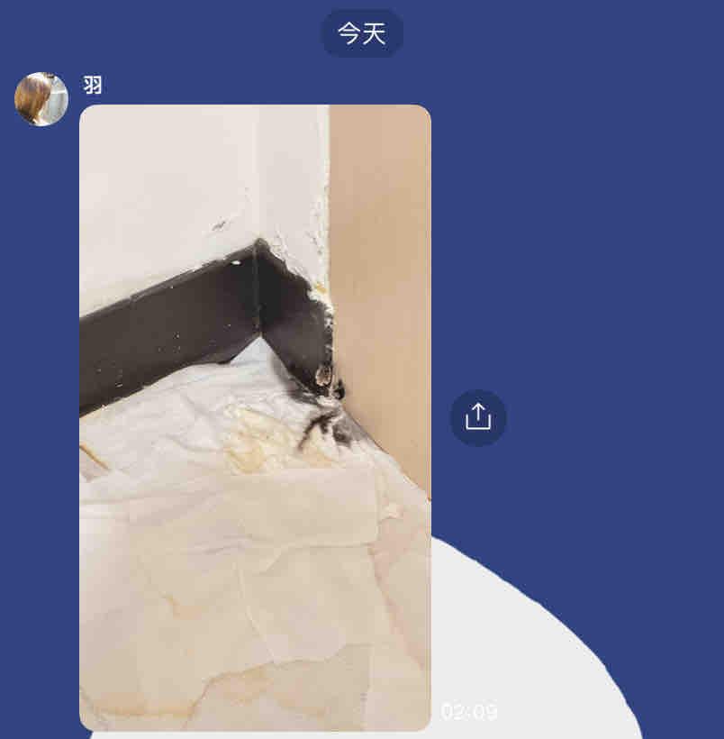 抓漏案件圖片 抓漏案件圖片