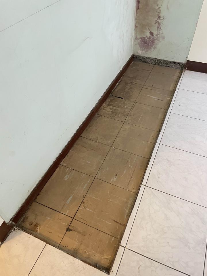 泥作/水泥施工案件圖片