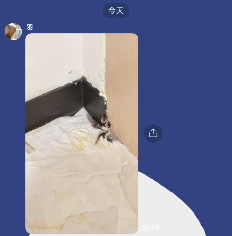 漏水處理案件圖片