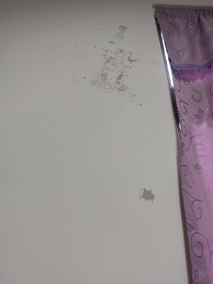 油漆工程案件圖片 油漆工程案件圖片