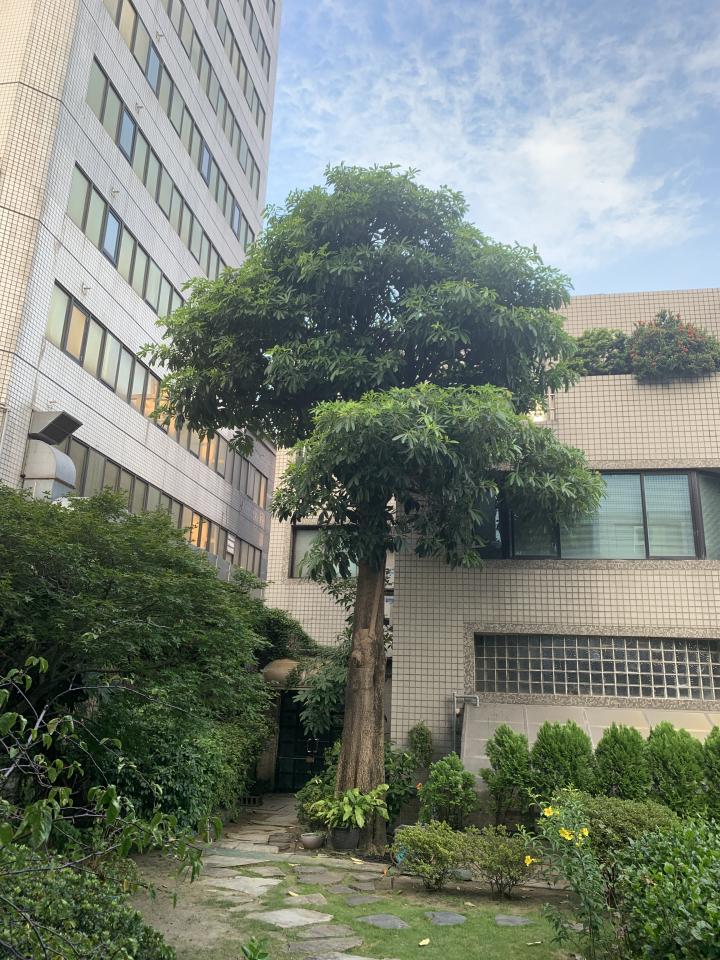 園藝維護案件圖片