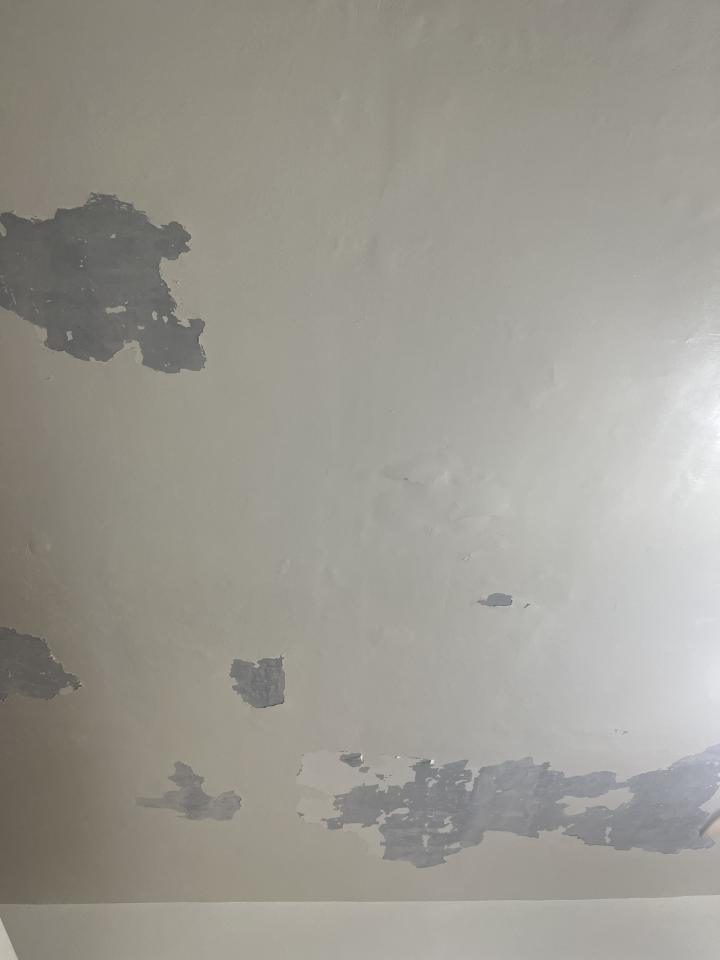 油漆工程案件圖片