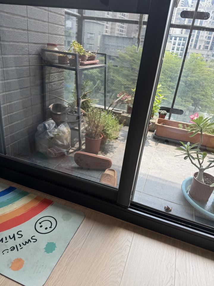 窗戶維修案件圖片