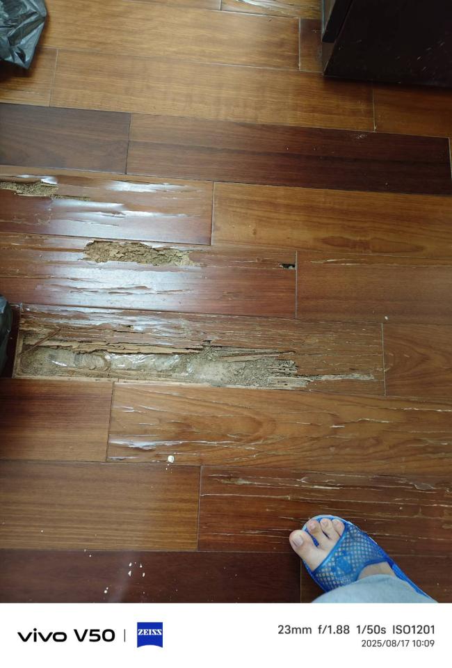 拆除工程案件圖片