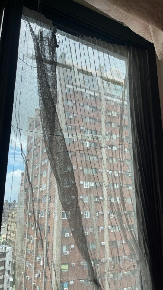 紗窗裝修案件圖片