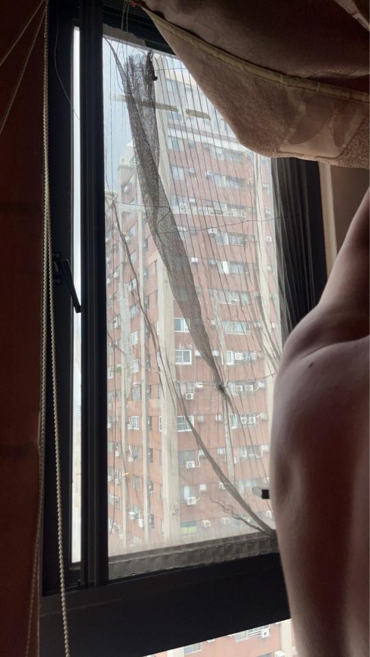 紗窗裝修案件圖片