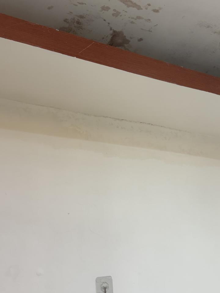 油漆工程案件圖片