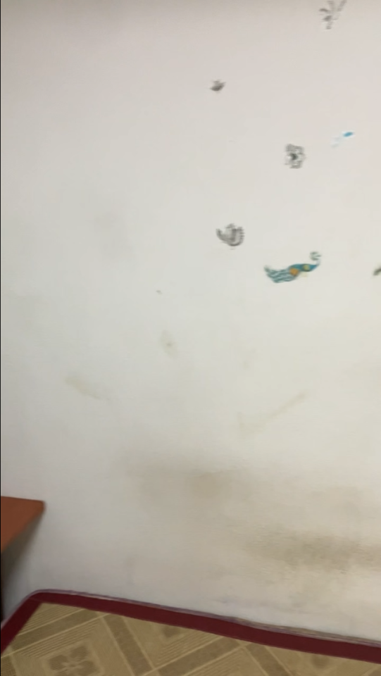 油漆工程案件圖片