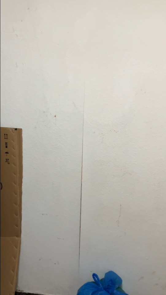 壁紙清除案件圖片