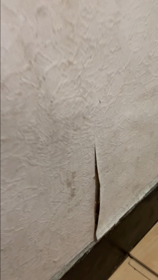 油漆工程案件圖片