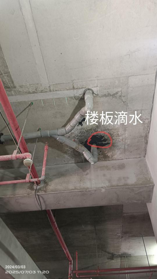 抓漏案件圖片